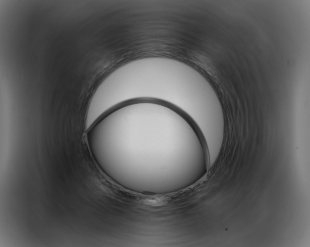 X0000086950411200704161101