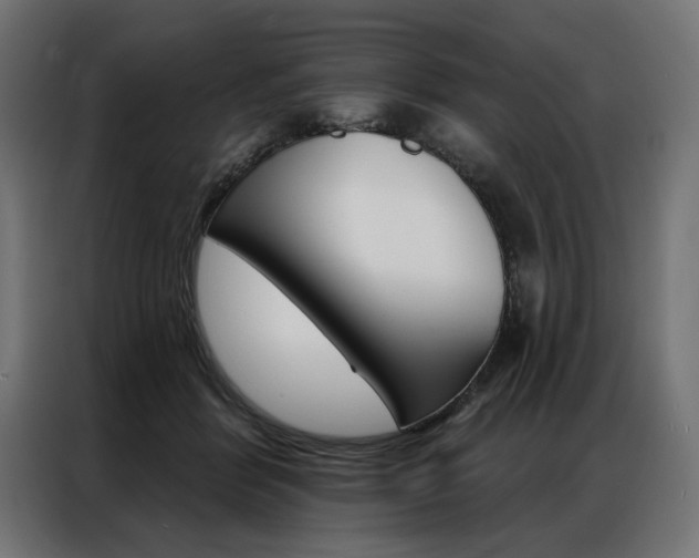 X0000086950412200704161101