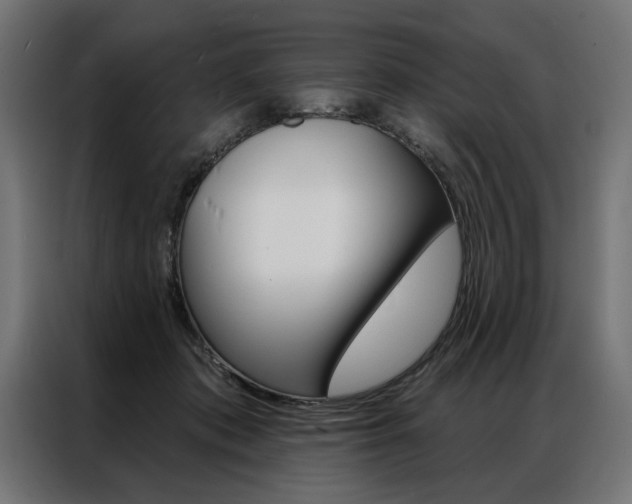 X0000086950413200704161101