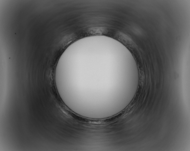 X0000086950414200704161101