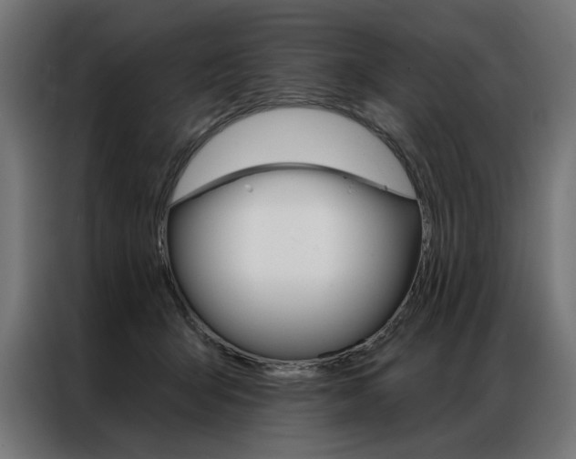 X0000086950415200704161101