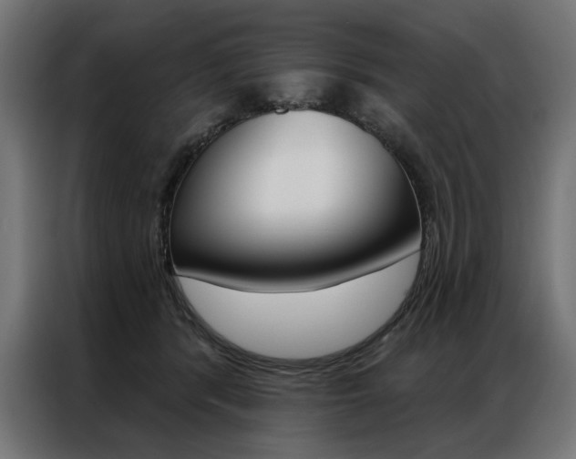 X0000086950416200704161101