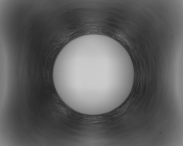 X0000086950417200704161101