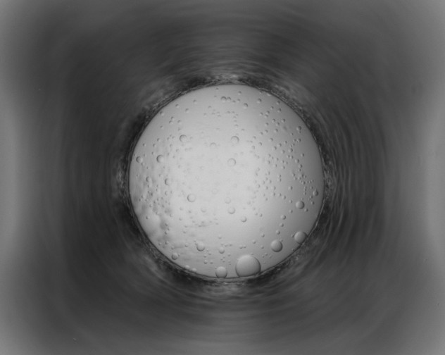 X0000086950418200704161101