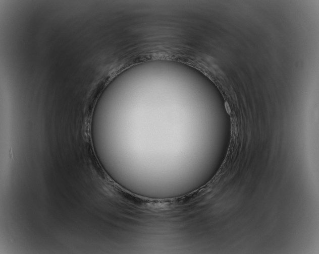 X0000086950419200704161101