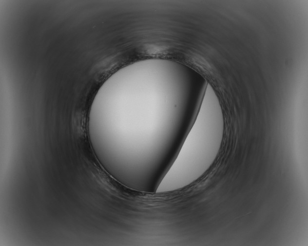 X0000086950421200704161101