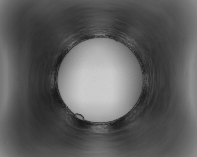 X0000086950422200704161101