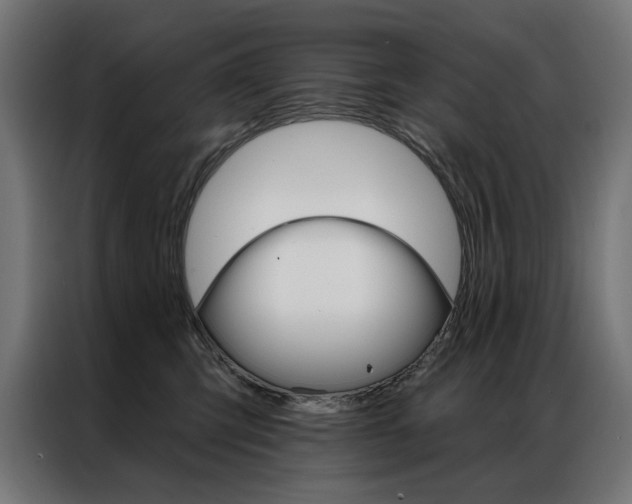 X0000086950423200704161101
