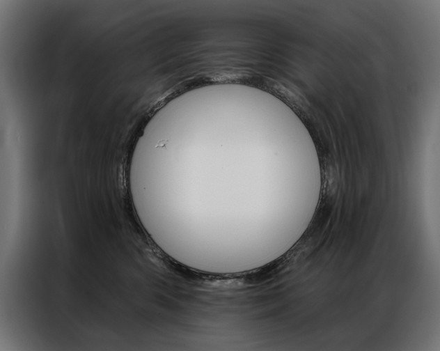 X0000086950426200704161101