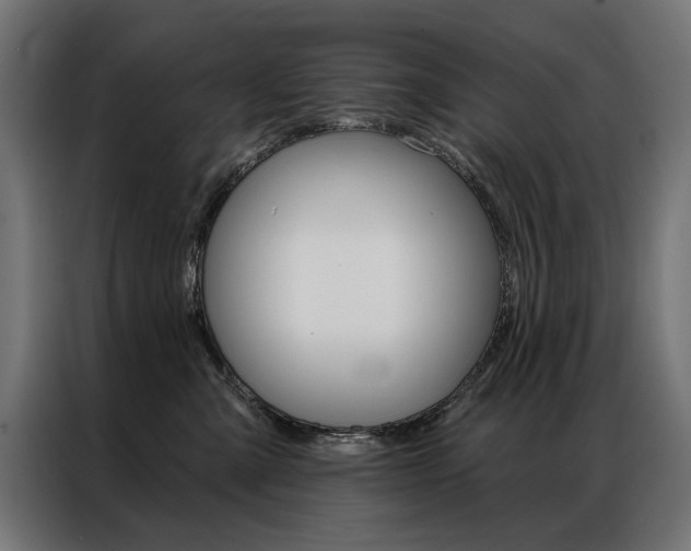 X0000086950427200704161101