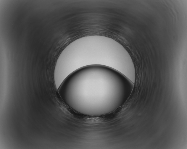 X0000086950428200704161101