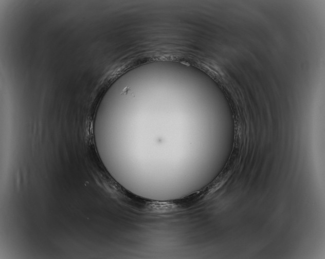 X0000086950429200704161101