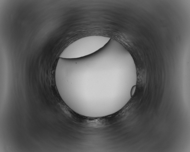 X0000086950430200704161101