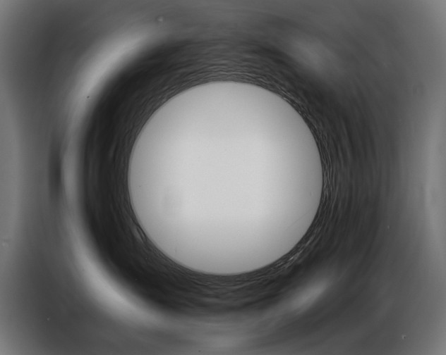 X0000086950431200704161101