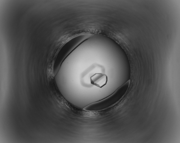 X0000086950432200704161101