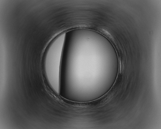 X0000086950435200704161100