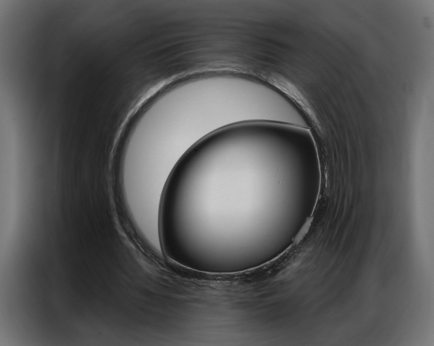 X0000086950436200704161100