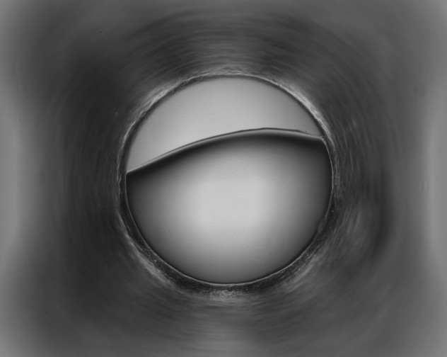 X0000086950437200704161100