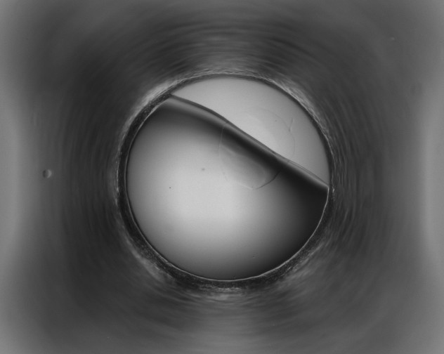 X0000086950438200704161100