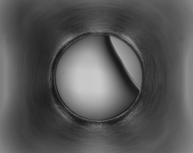 X0000086950439200704161100