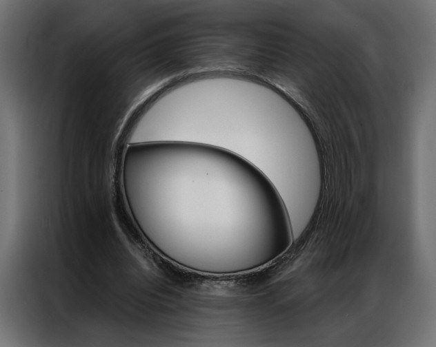 X0000086950440200704161100
