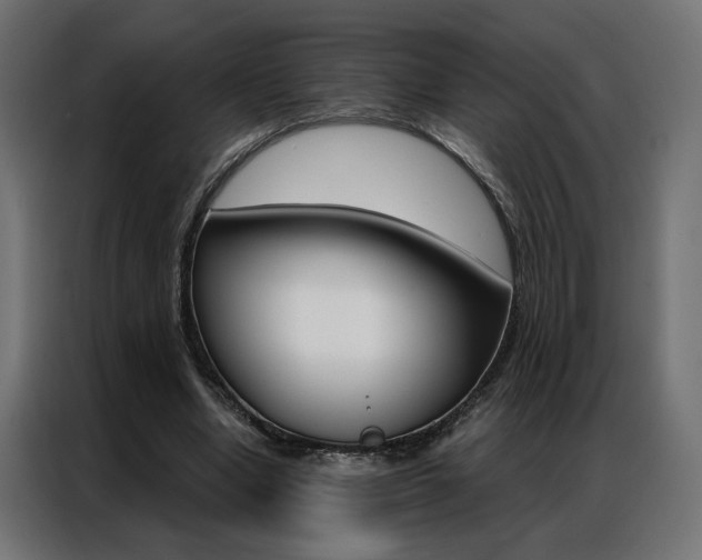 X0000086950442200704161100
