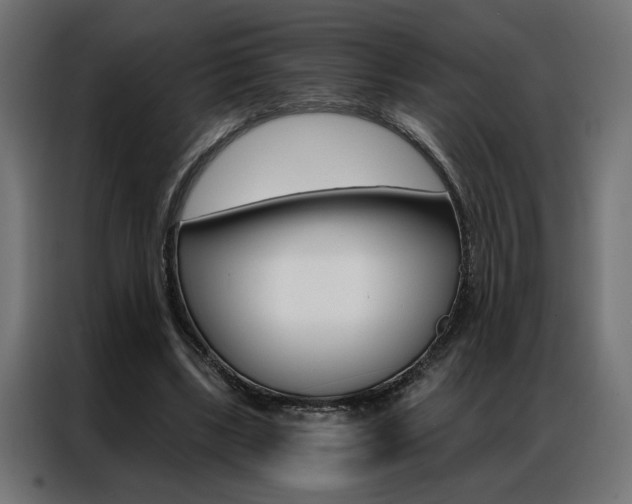 X0000086950443200704161100