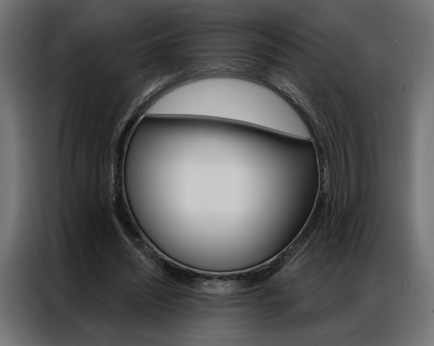 X0000086950444200704161100