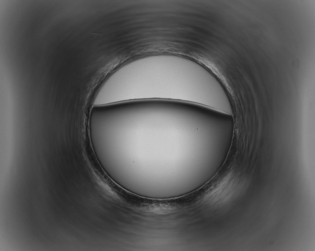 X0000086950445200704161100