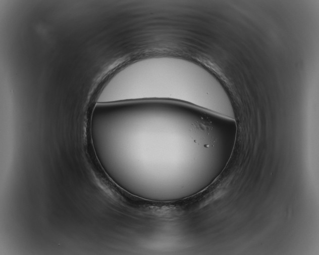 X0000086950446200704161101
