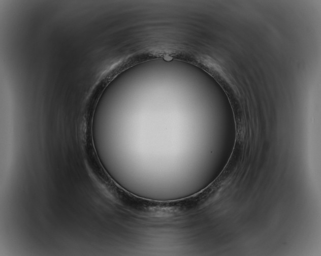 X0000086950448200704161101