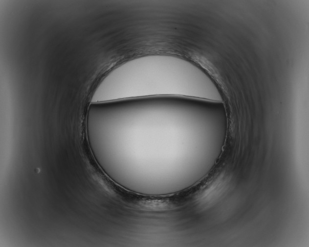 X0000086950449200704161101