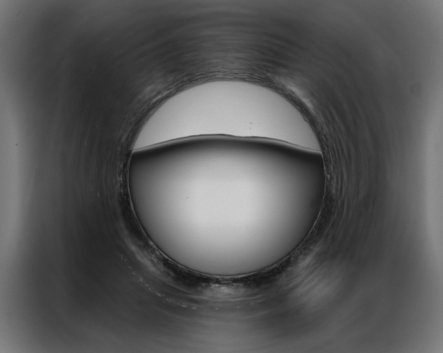 X0000086950455200704161101