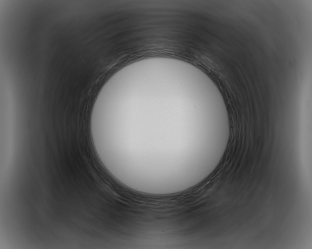 X0000086950456200704161101