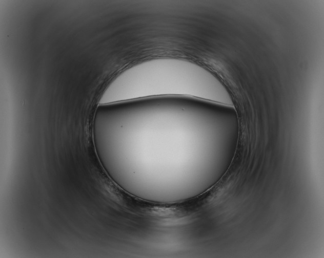 X0000086950457200704161101