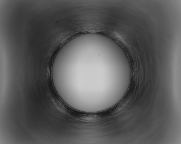 X0000086950459200704161101