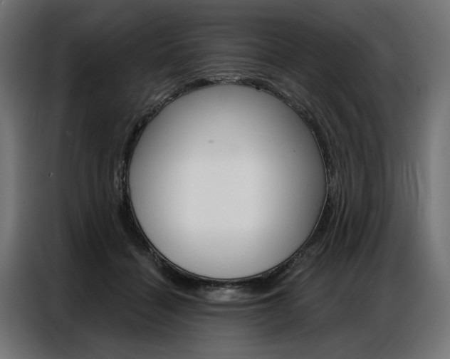X0000086950460200704161101