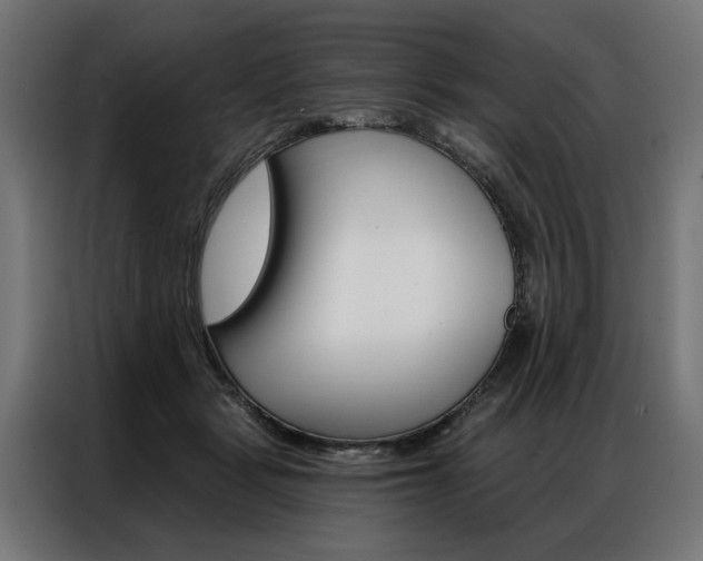 X0000086950461200704161101