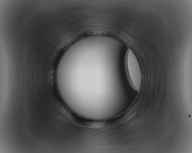 X0000086950462200704161101