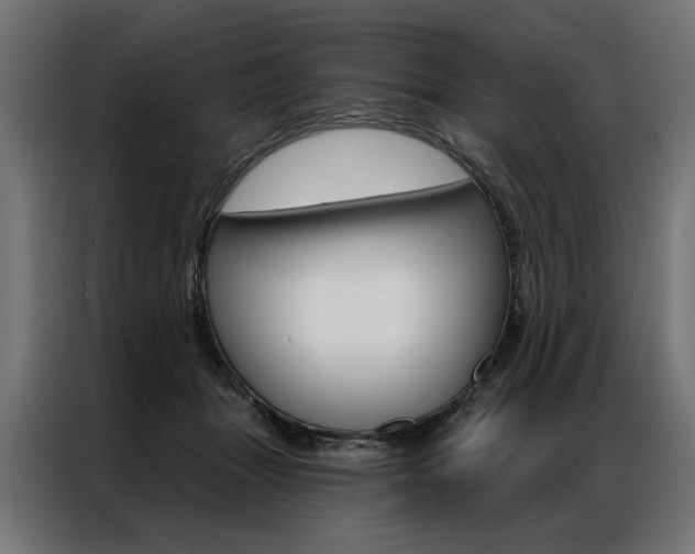 X0000086950463200704161101