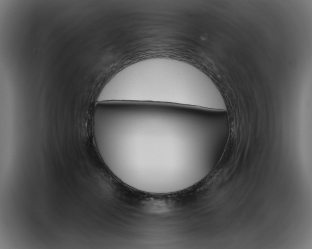 X0000086950464200704161101
