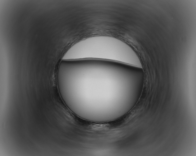 X0000086950465200704161101