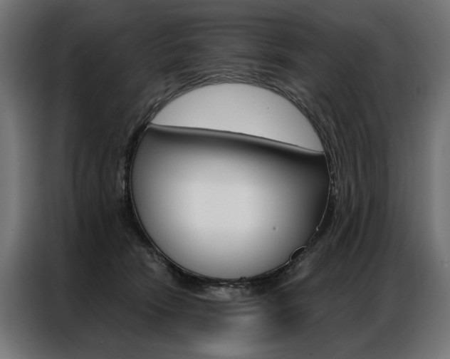 X0000086950466200704161101