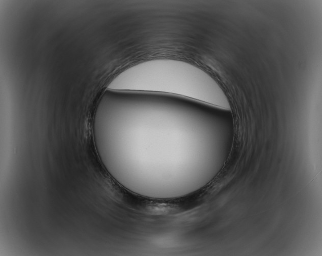 X0000086950467200704161101