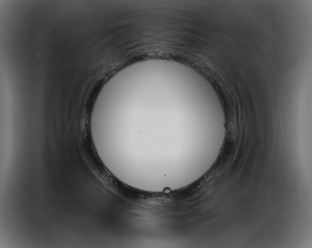 X0000086950468200704161101