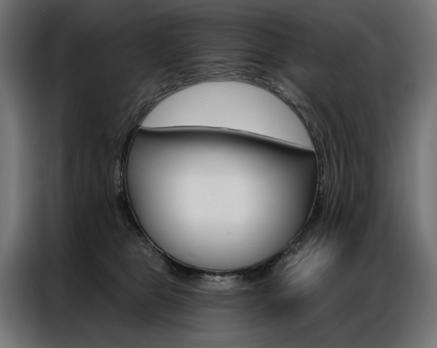 X0000086950469200704161101
