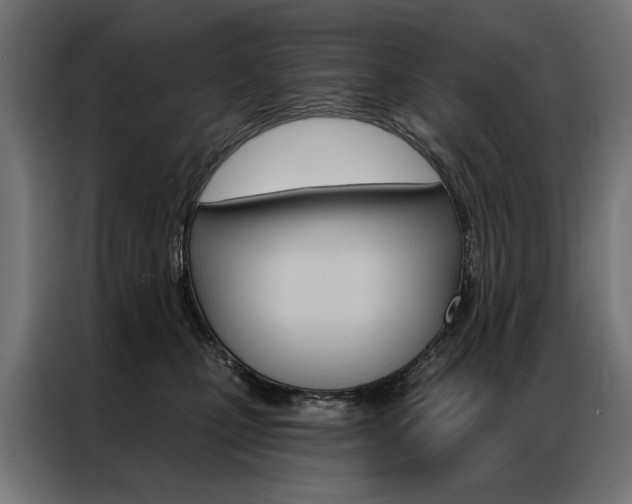 X0000086950471200704161101
