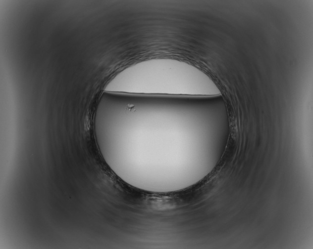 X0000086950472200704161101