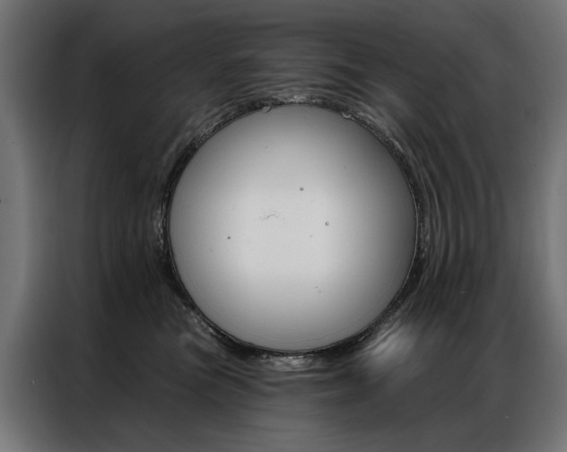 X0000086950473200704161101