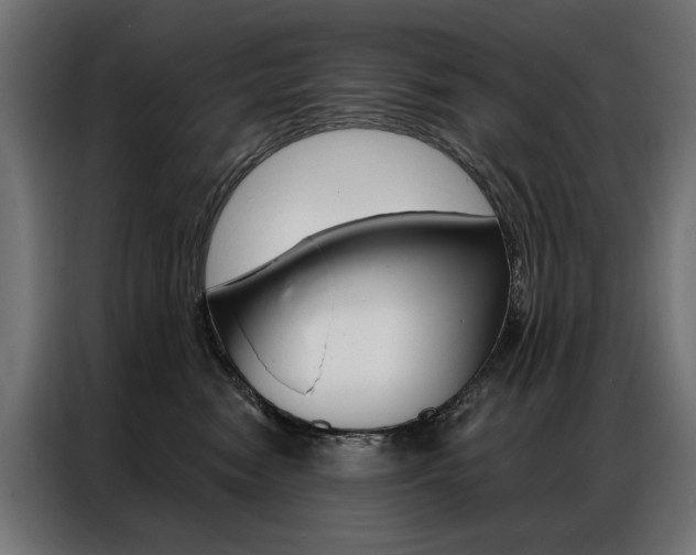 X0000086950474200704161101